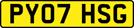 PY07HSG