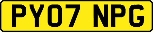 PY07NPG