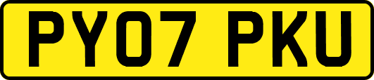 PY07PKU