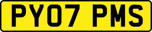 PY07PMS