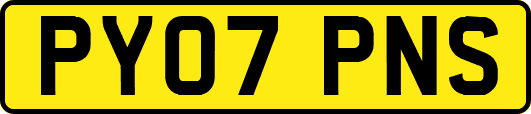 PY07PNS