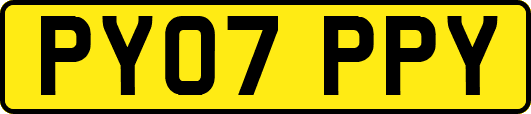 PY07PPY