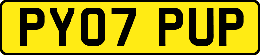 PY07PUP