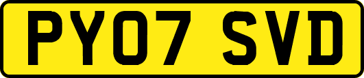 PY07SVD