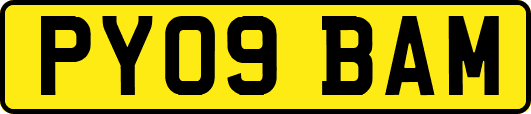 PY09BAM