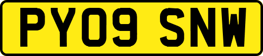 PY09SNW