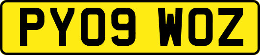 PY09WOZ
