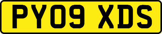 PY09XDS