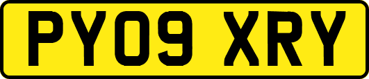 PY09XRY