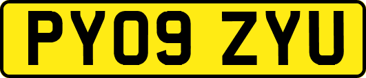 PY09ZYU
