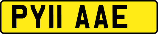 PY11AAE