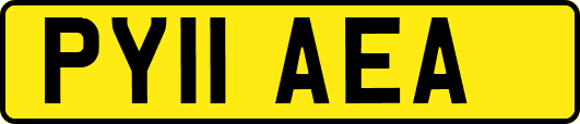 PY11AEA