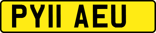 PY11AEU