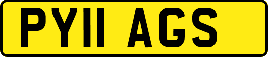 PY11AGS