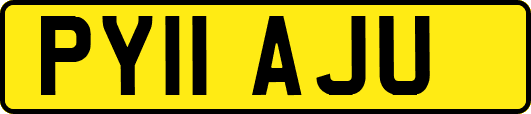 PY11AJU