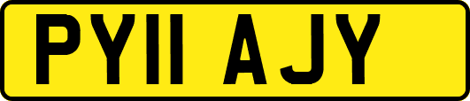 PY11AJY