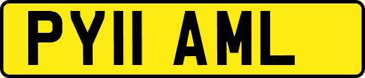 PY11AML