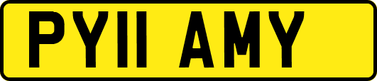 PY11AMY