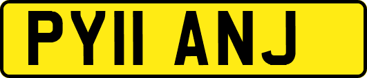 PY11ANJ
