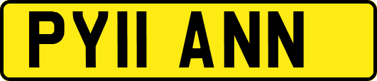 PY11ANN