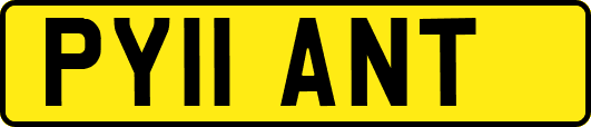 PY11ANT