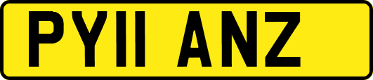 PY11ANZ