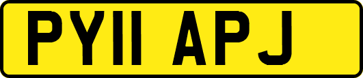 PY11APJ