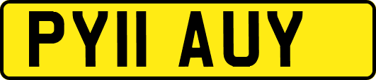 PY11AUY