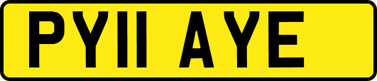 PY11AYE