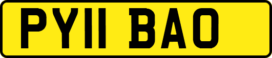 PY11BAO