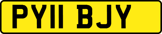 PY11BJY