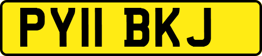 PY11BKJ