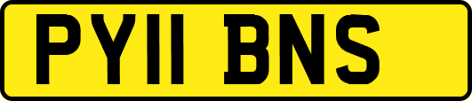 PY11BNS