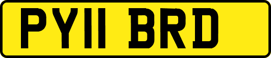 PY11BRD