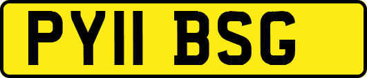 PY11BSG