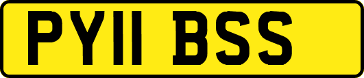 PY11BSS