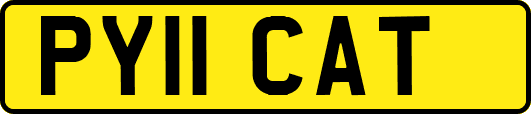 PY11CAT