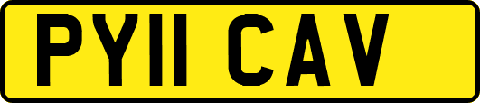 PY11CAV