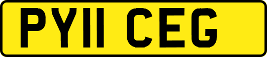 PY11CEG