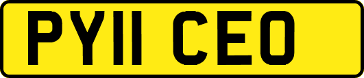 PY11CEO