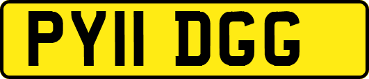 PY11DGG