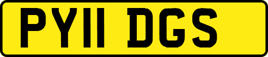 PY11DGS