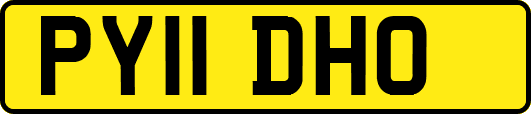 PY11DHO