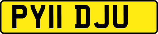 PY11DJU