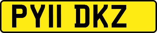 PY11DKZ