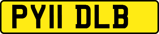 PY11DLB