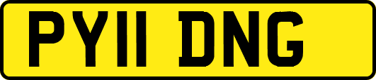 PY11DNG