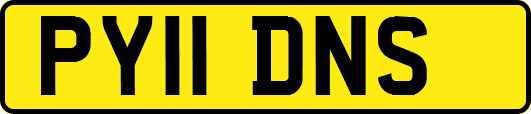 PY11DNS