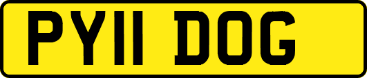 PY11DOG