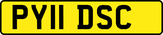 PY11DSC